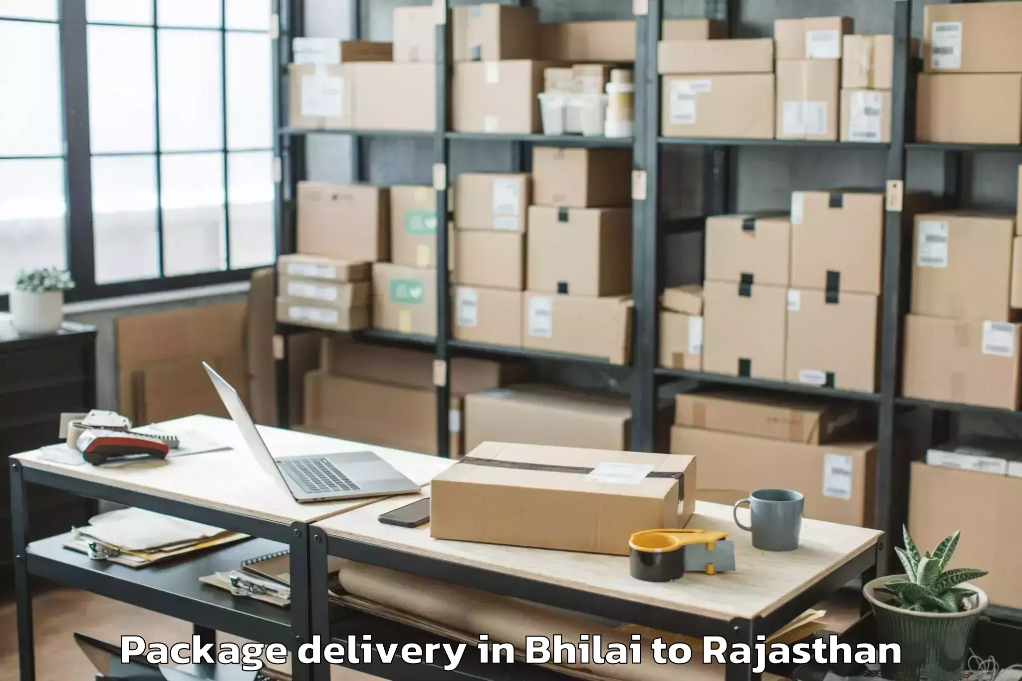 Reliable Bhilai to Alwar Package Delivery